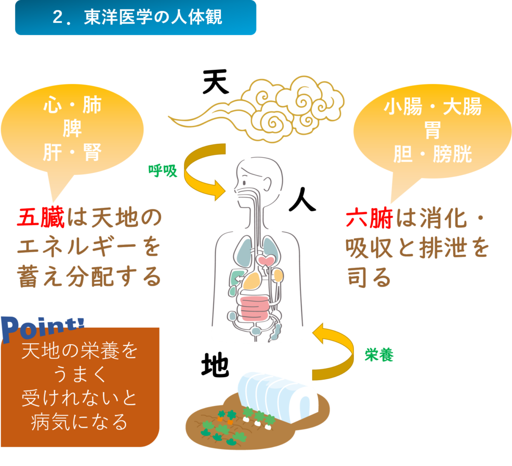 はり きゅう施術 京都東山三条 鍼灸 接骨院 白澤堂